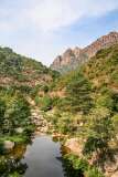 61: Corse-341
