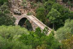 62: Corse-343