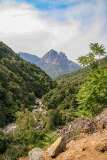63: Corse-344