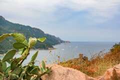 67: Corse-351