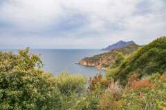69: Corse-358