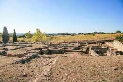 129: Corse-503
