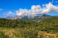 133: Corse-508