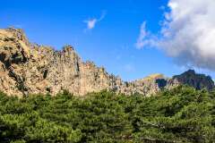 142: Corse-531