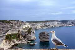 166: Corse-632