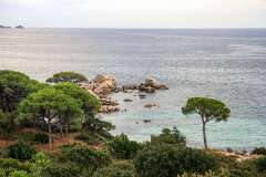 174: Corse-647