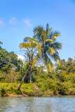 5: CostaRica-106