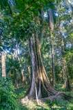 11: CostaRica-114