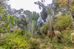 38: CostaRica-162