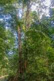 44: CostaRica-170