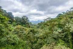75: CostaRica-306