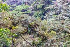 76: CostaRica-307