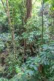 114: CostaRica-510