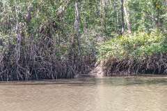 155: CostaRica-657