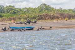 157: CostaRica-660