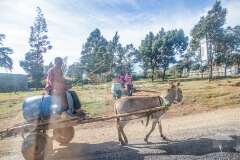 3: Kenya-004