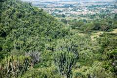 10: Kenya-017