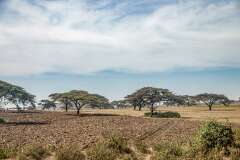 14: Kenya-022