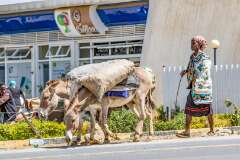 16: Kenya-025