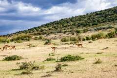 20: Kenya-033