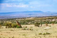 21: Kenya-035