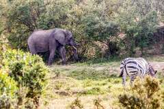22: Kenya-036
