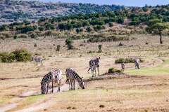 23: Kenya-037