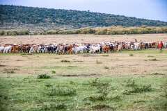 26: Kenya-047
