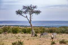 27: Kenya-050