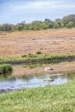 28: Kenya-051