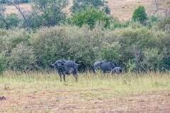 29: Kenya-054