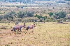 30: Kenya-055