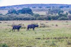 31: Kenya-058