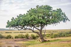 32: Kenya-060