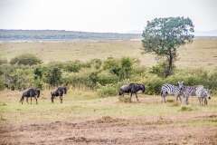 33: Kenya-062
