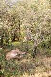 34: Kenya-069