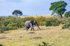 36: Kenya-073