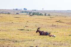 37: Kenya-075