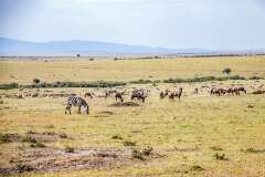 38: Kenya-076