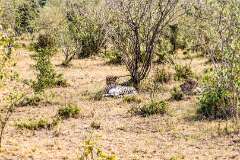 39: Kenya-082