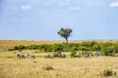 42: Kenya-090