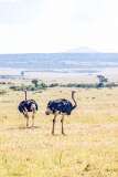 43: Kenya-094