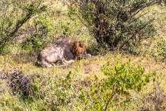44: Kenya-097