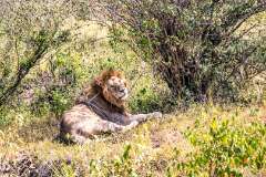 45: Kenya-098