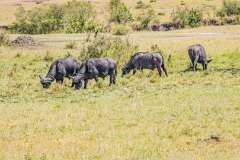 47: Kenya-105