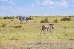 48: Kenya-106
