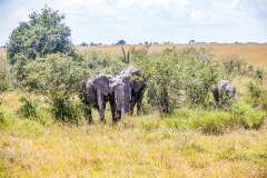 54: Kenya-119