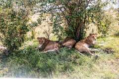 56: Kenya-122
