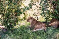 57: Kenya-123