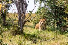 59: Kenya-125